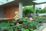 Taman Relaksasi